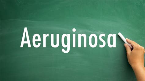 aeruginosa pronunciation|aeruginosa pronounce.